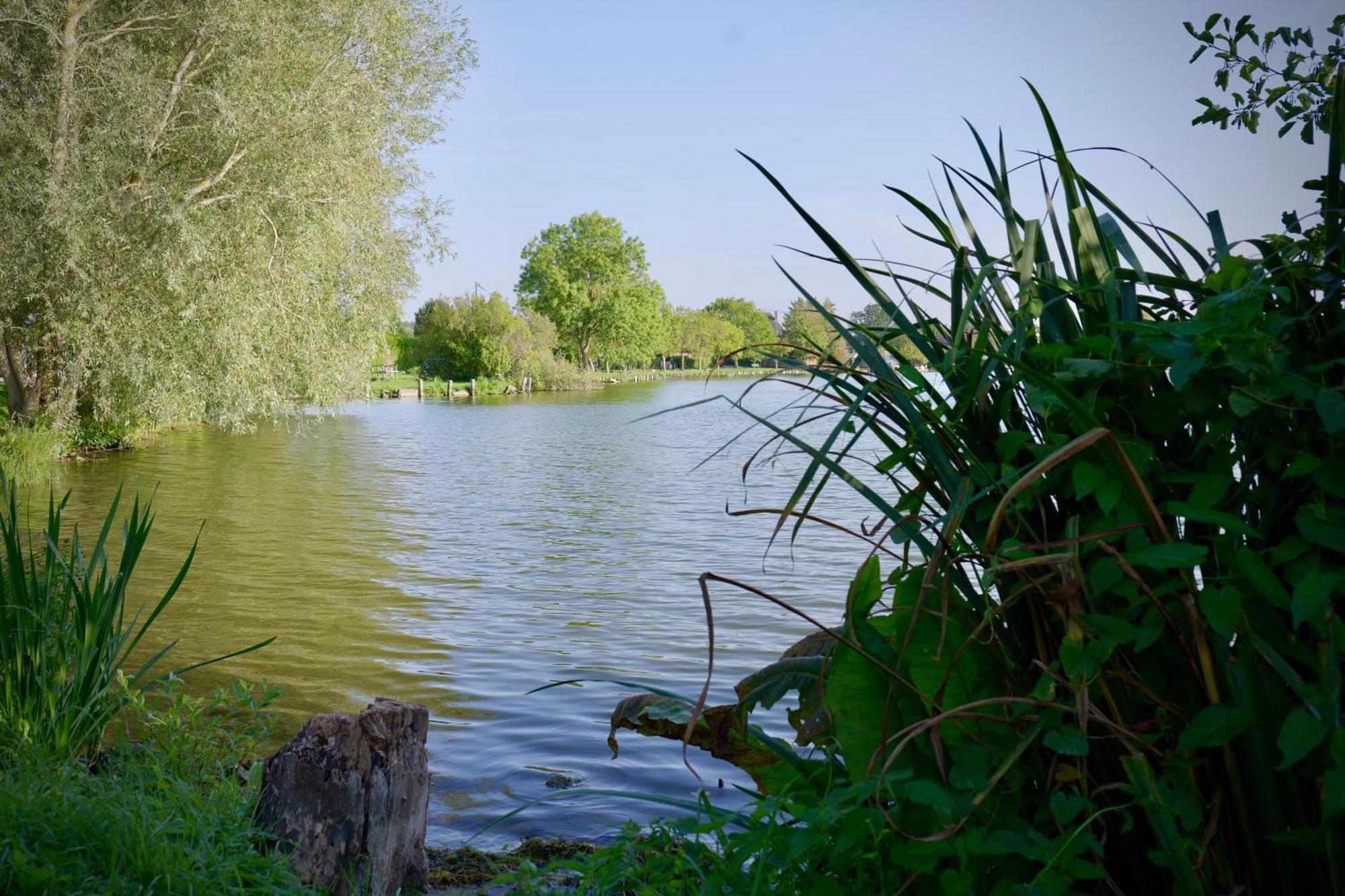 Les Chambres Du Moulin Arleux-du-Nord Esterno foto