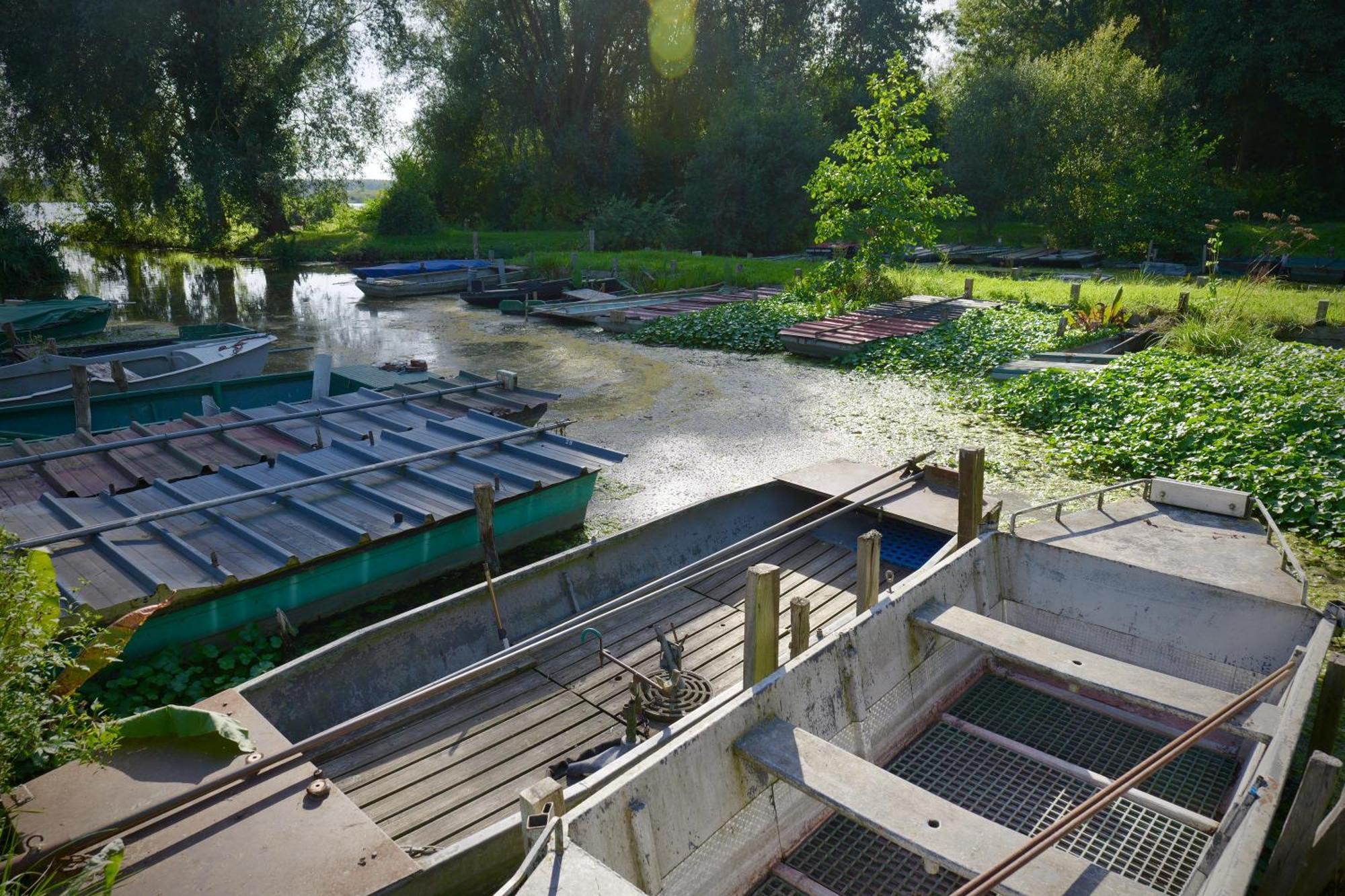 Les Chambres Du Moulin Arleux-du-Nord Esterno foto